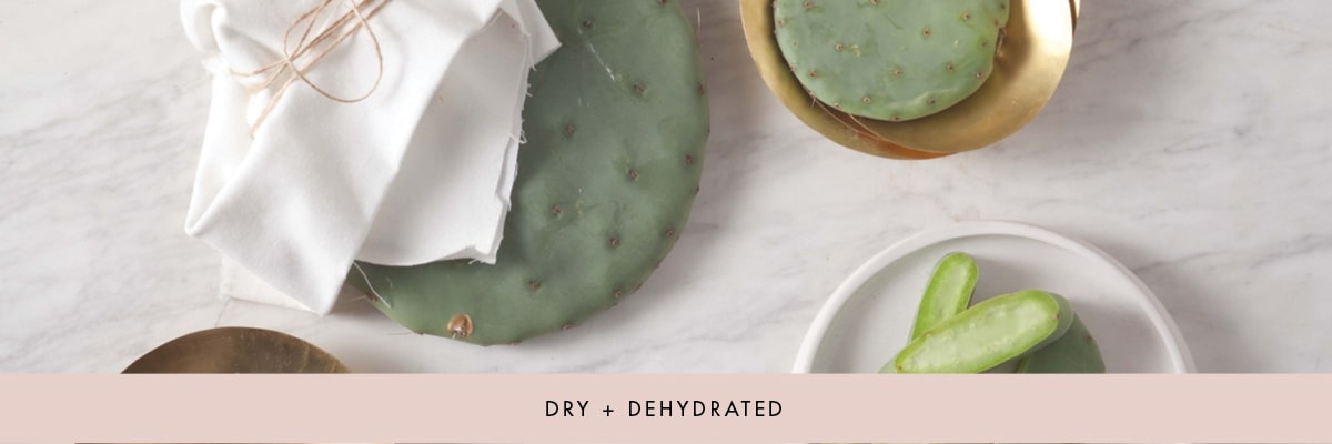 Dry + Dehydrated