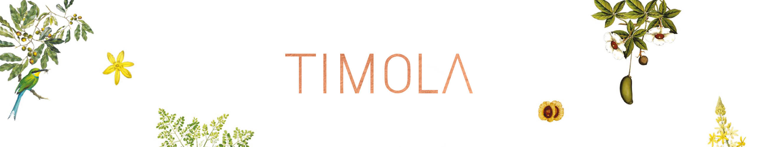 Timola Timola