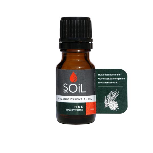 Soil Essential Oil Pine 10ml