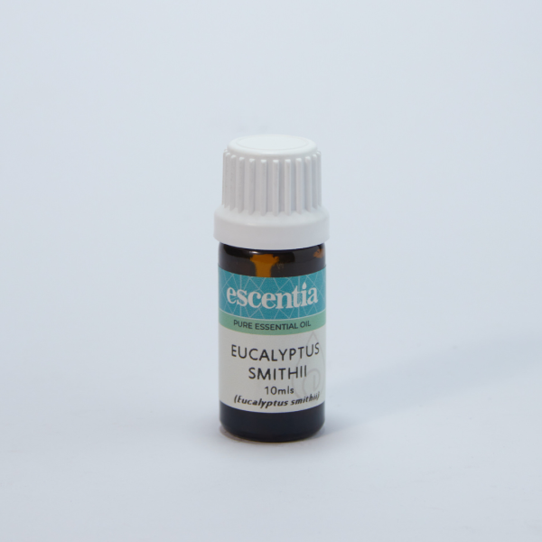 Escentia - Essential Oil Eucalyptus Smithi 10ml