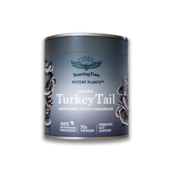 Soaring Free - Turkey Tail Powder 70g