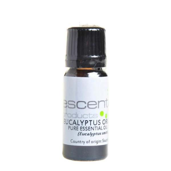 Escentia Essential Oil Eucalyptus Smithi 11ml