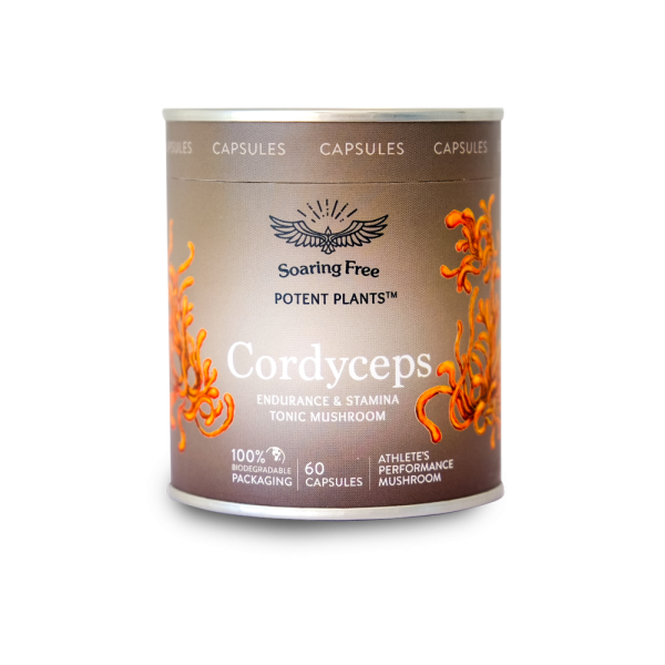 Soaring Free Potent Plants Cordyceps Capsules 60s