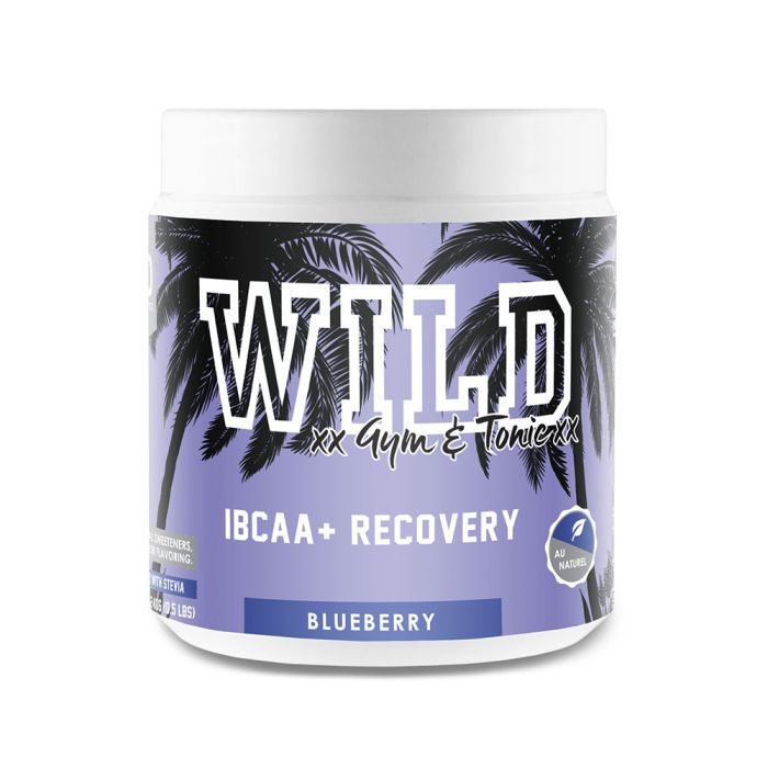 Wild - Gym & Tonic IBCAA Recovery 240g | Wellness Warehouse