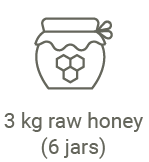 Honeybee_heroes_web_page-icons_2