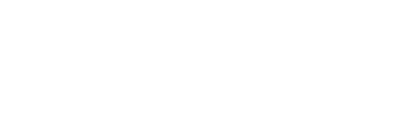 Brain_Cognition