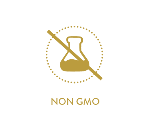 NoGMO