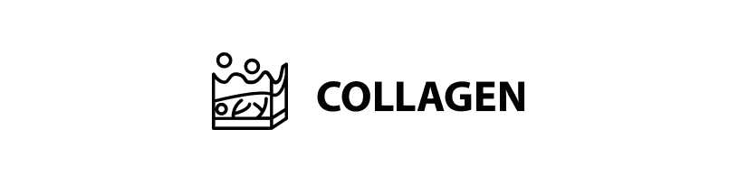 Collagen_1