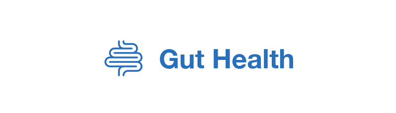 Gut